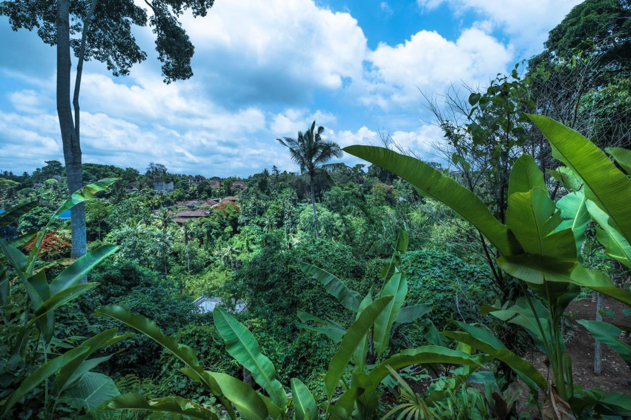 Murni'S Houses & Spa Ubud Exterior foto